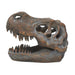 productImage-18440-tyrannosaurus-rex-schaedel-5.jpg