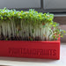 productImage-20535-microgreens-starter-kit.jpg