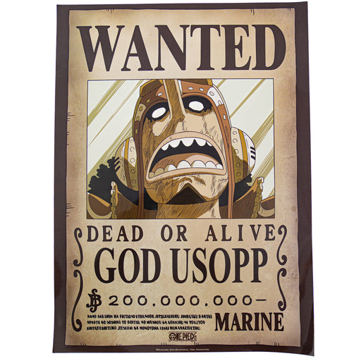 productImage-21880-one-piece-wanted-poster-1.jpg